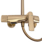 20% Rabatt! Dusche Rebel Gold Matt