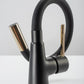 Armatur Icon Black Gold